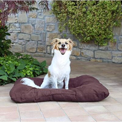 SOGNI E CAPRICCI PETS Drömmar och Capricci Husdjur Pack N.2 Kuddar för husdjur Smarty, Brun, 77 x 60 cm SOGNI E CAPRICCI PETS Drömmar och Capricci Husdjur Pack N.2 Kuddar för husdjur Smarty, Brun, 77 x 60 cm