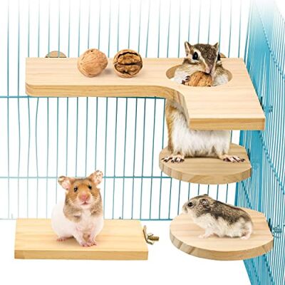 Reyshin 4-delad hamster tillbehörsset, liten djurplattform naturlig trä hamster leksak för guinea pigment chinchilla råd budgie inklusive L hoppbräda rund rektangel och 3 bollar (L) Reyshin 4-delad hamster tillbehörsset, liten djurplattform naturlig trä hamster leksak för guinea pigment chinchilla råd budgie inklusive L hoppbräda rund rektangel och 3 bollar (L)