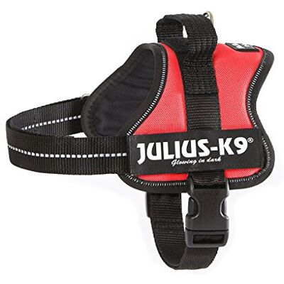 Julius-K9 K9 Powersele, storlek: 3XS/Baby 1, Röd Julius-K9 K9 Powersele, storlek: 3XS/Baby 1, Röd