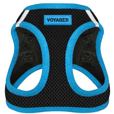Best Pet Supplies Voyager Step-in Air Dog Harness – All Weather Mesh Step In-väst sele för små och medelstora hundar av – blå kant, L Best Pet Supplies Voyager Step-in Air Dog Harness – All Weather Mesh Step In-väst sele för små och medelstora hundar av – blå kant, L