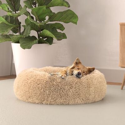 Italian Bed Linen Italian säng linne hundsäng drömmar sogni e capricci pets, vanilj, 50 x 50 cm Italian Bed Linen Italian säng linne hundsäng drömmar sogni e capricci pets, vanilj, 50 x 50 cm