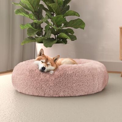 Italian Bed Linen Italian säng linne hundsäng drömmar sogni e capricci pets, ros, 60 x 60 cm Italian Bed Linen Italian säng linne hundsäng drömmar sogni e capricci pets, ros, 60 x 60 cm
