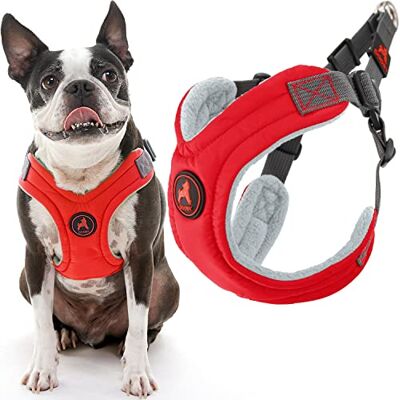 GOOBY Escape Free sele i minnesskum – röd, stor – inget drag steg-in liten hundsele med fyra punktsjustering – perfekt när du är på språng hundsele för medelstora hundar inget drag och små hundar GOOBY Escape Free sele i minnesskum – röd, stor – inget drag steg-in liten hundsele med fyra punktsjustering – perfekt när du är på språng hundsele för medelstora hundar inget drag och små hundar