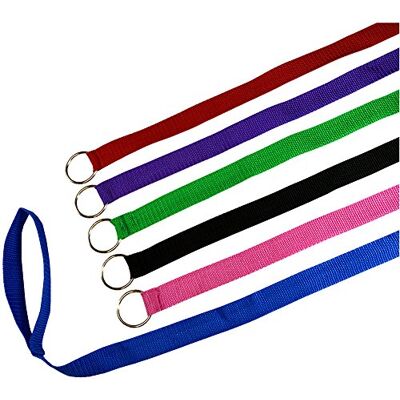 Downtown Pet Supply 6 fotslip-bly, slip-bly, kennelkoppel med O-ring för hund djurkontroll grooming, skydd, räddning, veterinär, hundvård (storlek: 6 x 1 tum), färger: olika), 24 Pack Downtown Pet Supply 6 fotslip-bly, slip-bly, kennelkoppel med O-ring för hund djurkontroll grooming, skydd, räddning, veterinär, hundvård (storlek: 6 x 1 tum), färger: olika), 24 Pack