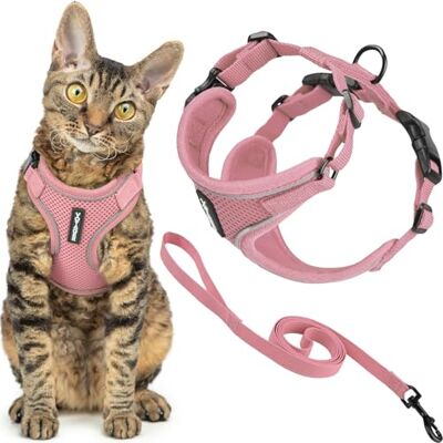 Best Pet Supplies Voyager Flyktsäker kattsele och koppelset med reflekterande sömmar, neoprenhandtag 1,5 m – stöder små, medelstora och stora katter, kattungar för promenader med bästa husdjurstillbehör – rosa, S Best Pet Supplies Voyager Flyktsäker kattsele och koppelset med reflekterande sömmar, neoprenhandtag 1,5 m – stöder små, medelstora och stora katter, kattungar för promenader med bästa husdjurstillbehör – rosa, S