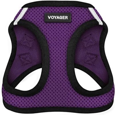 Best Pet Supplies Voyager Step-in Air hundsele – alla väder nät step-in-väst sele för små och medelstora hundar av – lila bas, L Best Pet Supplies Voyager Step-in Air hundsele – alla väder nät step-in-väst sele för små och medelstora hundar av – lila bas, L