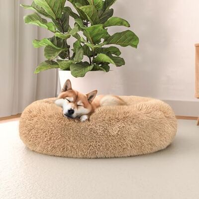 Italian Bed Linen Italian säng linne hundsäng drömmar sogni e capricci pets, vanilj, 60 x 60 cm Italian Bed Linen Italian säng linne hundsäng drömmar sogni e capricci pets, vanilj, 60 x 60 cm