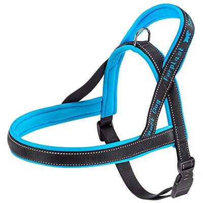 Ferplast ARNES Sport Hund P L Blå Ferplast ARNES Sport Hund P L Blå