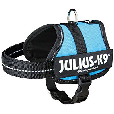 Julius-K9 , 162AM-MM, K9 Power sele för hundar, storlek: Mini-Mini, akvamarin blå Julius-K9 , 162AM-MM, K9 Power sele för hundar, storlek: Mini-Mini, akvamarin blå