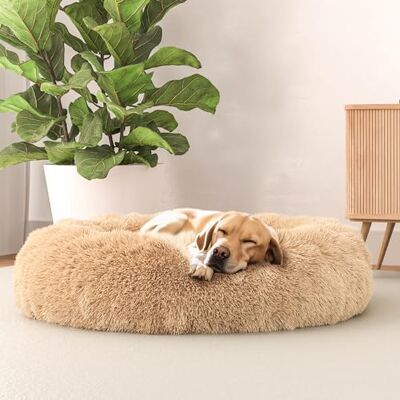 Italian Bed Linen Italian säng linne hundsäng drömmar sogni e capricci pets, vanilj, 70 x 70 cm Italian Bed Linen Italian säng linne hundsäng drömmar sogni e capricci pets, vanilj, 70 x 70 cm