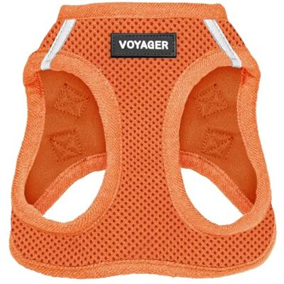 Best Pet Supplies Voyager Step-in Air hundsele – alla väder nät step-in-väst sele för små och medelstora hundar av – sele (orange), XXX-Small Best Pet Supplies Voyager Step-in Air hundsele – alla väder nät step-in-väst sele för små och medelstora hundar av – sele (orange), XXX-Small