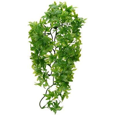 Zoo Med ZooMed BU-22 Congo Ivy, medium Zoo Med ZooMed BU-22 Congo Ivy, medium
