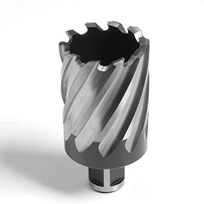 Evolution Power Tools lång serie broaching skärare, 42 x 50 mm Evolution Power Tools lång serie broaching skärare, 42 x 50 mm