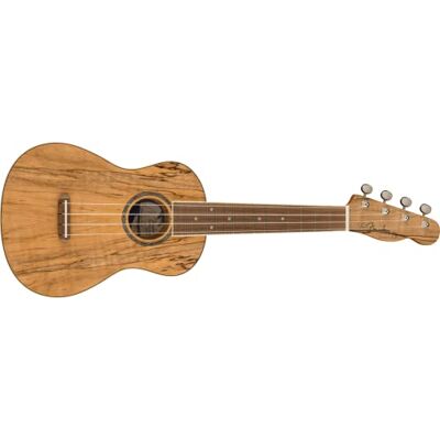 Fender Zuma Exotic Concert Ukulele, Valnöt fingerboard i delad lönn Fender Zuma Exotic Concert Ukulele, Valnöt fingerboard i delad lönn