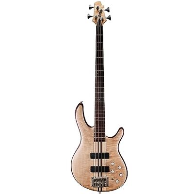 Cort Ekonomi 4 strängar, modern design med dubbel cutaway gitarr Cort Ekonomi 4 strängar, modern design med dubbel cutaway gitarr