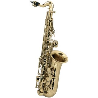 GEWA Roy Benson Eb-Alt Children's Saxophone AS-201 (Speciellt utformad för barn, inklusive rengöringsduk, med bärrem, i lätt rektangulärt fodral, med ryggsäckssats) GEWA Roy Benson Eb-Alt Children's Saxophone AS-201 (Speciellt utformad för barn, inklusive rengöringsduk, med bärrem, i lätt rektangulärt fodral, med ryggsäckssats)