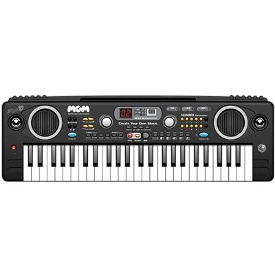 WS Synthesizer 49 tangenter tonåringar 610600 66 cm svart perfekt för nybörjare musik instrument IZZY pianoinitiering amatörmusiker USB-kabel ingår mikrofon WS Synthesizer 49 tangenter tonåringar 610600 66 cm svart perfekt för nybörjare musik instrument IZZY pianoinitiering amatörmusiker USB-kabel ingår mikrofon