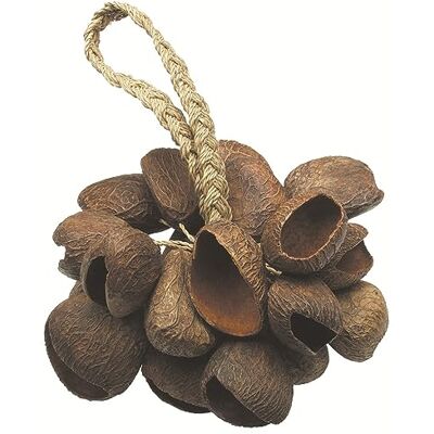 TOCA TO804444 Seed Shell Shaker TOCA TO804444 Seed Shell Shaker