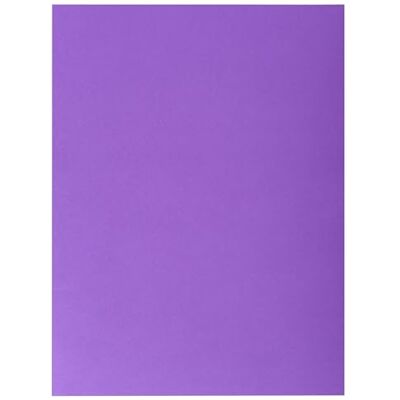 Exacompta Ref. 415007E kartong med 250 ROCK''S dubbelfickmappar 210 g/m² ljusa färger PEFC™-certifierade mappar storlek 24 x 32 cm för A4-dokument violin Exacompta Ref. 415007E kartong med 250 ROCK''S dubbelfickmappar 210 g/m² ljusa färger PEFC™-certifierade mappar storlek 24 x 32 cm för A4-dokument violin
