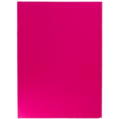 Alevar 3 klaffar med 600 g resår, A4-storlek, Fuchsia-färg, förpackning med 10 stycken Alevar 3 klaffar med 600 g resår, A4-storlek, Fuchsia-färg, förpackning med 10 stycken