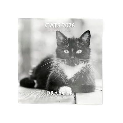 DRAEGER PARIS 1886 Stor väggkalender 28 x 29 cm 2026 svartvitt katttema 12 månader FSC-papper avtagbara illustrationer DRAEGER PARIS 1886 Stor väggkalender 28 x 29 cm 2026 svartvitt katttema 12 månader FSC-papper avtagbara illustrationer