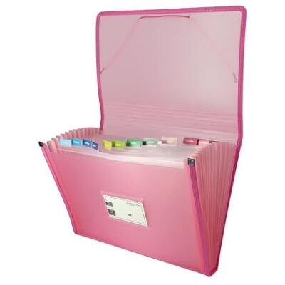 Grafoplás Arkivmapp Pastellrosa Foliostorlek 13 positioner inklusive etikett för tittare och kort vattentäta plastöverdrag multiline Grafoplás Arkivmapp Pastellrosa Foliostorlek 13 positioner inklusive etikett för tittare och kort vattentäta plastöverdrag multiline