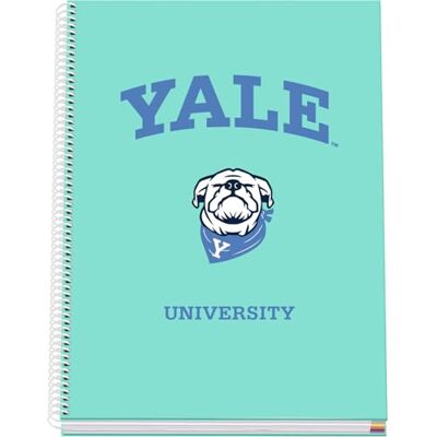 DOHE Skolanteckningsbok A4 Rutad 100 Sidor, 90 g/m², Storlek 22,8x30 cm, Hård Pärm, Spiralbindning, 5 mm Rutmönster, Skolmaterial Yale University Dog DOHE Skolanteckningsbok A4 Rutad 100 Sidor, 90 g/m², Storlek 22,8x30 cm, Hård Pärm, Spiralbindning, 5 mm Rutmönster, Skolmaterial Yale University Dog