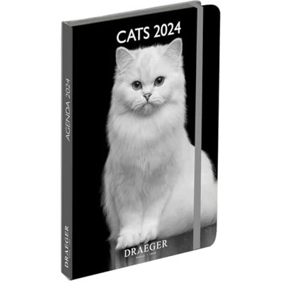 DRAEGER Paris Fickdagbok A6 special svartvita katter januari-dec 2024 12 foton 11,5 x 16 cm hårt omslag märkessida 7 språk 1 vecka på 2 sidor FSC®-certifierat papper DRAEGER Paris Fickdagbok A6 special svartvita katter januari-dec 2024 12 foton 11,5 x 16 cm hårt omslag märkessida 7 språk 1 vecka på 2 sidor FSC®-certifierat papper