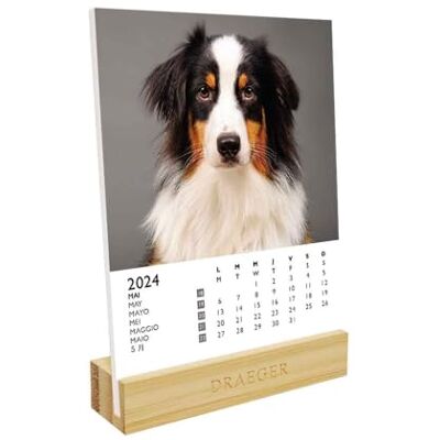 DRAEGER Paris 2024 hundkalender 12 x 16,5 cm år 2024 7 språk månatlig kontorskalender bambubas FSC-certifierat papper vegetabiliskt bläck DRAEGER Paris 2024 hundkalender 12 x 16,5 cm år 2024 7 språk månatlig kontorskalender bambubas FSC-certifierat papper vegetabiliskt bläck