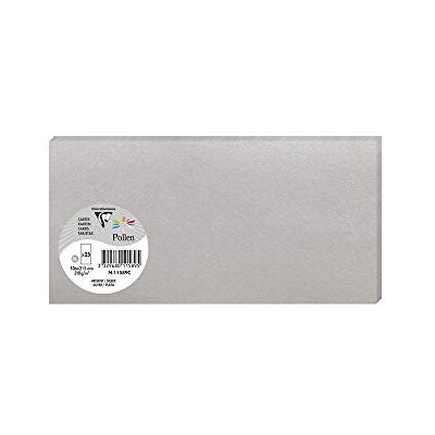 Clairefontaine 11589C En förpackning med 25 cartes Pollen 10,6x21,3 cm 210g, Argent Clairefontaine 11589C En förpackning med 25 cartes Pollen 10,6x21,3 cm 210g, Argent