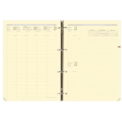 QUO VADIS Refill Organizer 2024-2025 Timer 29 Prestige veckoplanering fransk 16 månader september till december 21 x 29,7 cm Clairefontaine elfenbenspapper fransk tillverkning QUO VADIS Refill Organizer 2024-2025 Timer 29 Prestige veckoplanering fransk 16 månader september till december 21 x 29,7 cm Clairefontaine elfenbenspapper fransk tillverkning