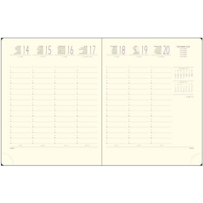 Exacompta 18842E Eurotime 18 vecka refill naturlig skiva 15 x 17 cm januari till december 2024 Exacompta 18842E Eurotime 18 vecka refill naturlig skiva 15 x 17 cm januari till december 2024