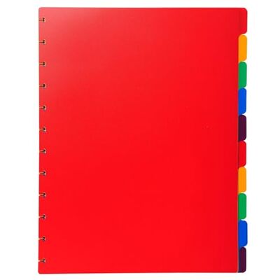 Exacompta Ref. 86003E kartong med 10 flerfärgade hårda polyproavdelare för avtagbara dokumentskydd med ringar 10 neutrala flikar för A4-storlek maxi storlek 24 x 30,5 cm Exacompta Ref. 86003E kartong med 10 flerfärgade hårda polyproavdelare för avtagbara dokumentskydd med ringar 10 neutrala flikar för A4-storlek maxi storlek 24 x 30,5 cm