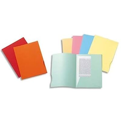 Exacompta Super 250 pack med 50 mappar för A4-papper – 2 flikar, 24 x 32 cm 24 x 32 blandade färger Exacompta Super 250 pack med 50 mappar för A4-papper – 2 flikar, 24 x 32 cm 24 x 32 blandade färger
