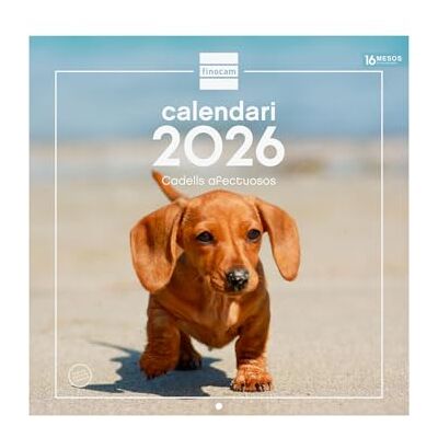 Finocam Väggkalender 2026, 30 x 30 cm, månadsvy januari december 2026 + september dec 2025 (4 månader) Kalender 2026 Bilder Valpar katalanska Finocam Väggkalender 2026, 30 x 30 cm, månadsvy januari december 2026 + september dec 2025 (4 månader) Kalender 2026 Bilder Valpar katalanska