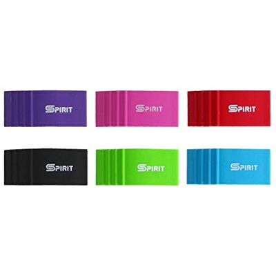 SPIRIT TTS suddgummi "LEAF" 1/1 sorterad färg SPIRIT TTS suddgummi "LEAF" 1/1 sorterad färg