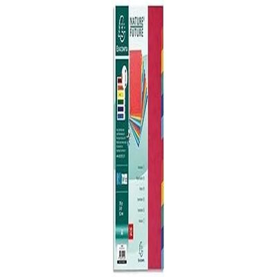 Exacompta Intercalaires nature future carte lustree 400g 12 positions a4 Exacompta Intercalaires nature future carte lustree 400g 12 positions a4