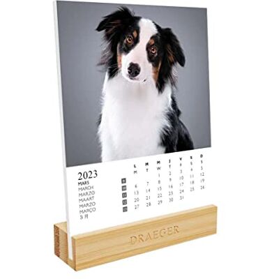DRAEGER Paris Kalender på hundbas 2023 12 x 16,5 cm år 2023 7 språk månadsbsbeslag Bambufot FSC® papperslåda vegetabiliskt bläck DRAEGER Paris Kalender på hundbas 2023 12 x 16,5 cm år 2023 7 språk månadsbsbeslag Bambufot FSC® papperslåda vegetabiliskt bläck
