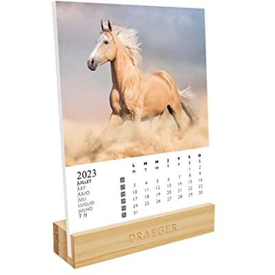 DRAEGER Paris Kalender på hästar 2023 bas 12 x 16,5 cm år 2023 7 språk månadsbsbeslag Bambufot FSC®-certifierat papper vegetabiliskt bläck DRAEGER Paris Kalender på hästar 2023 bas 12 x 16,5 cm år 2023 7 språk månadsbsbeslag Bambufot FSC®-certifierat papper vegetabiliskt bläck