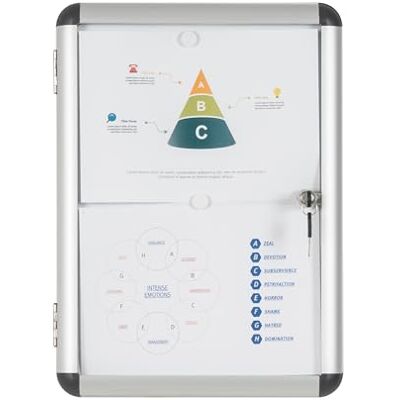 Bi-Office Enclore Magnetisk inomhusdisplay för 2 ark A4, med aluminiumdörr och lås, 367 x 500 mm Bi-Office Enclore Magnetisk inomhusdisplay för 2 ark A4, med aluminiumdörr och lås, 367 x 500 mm