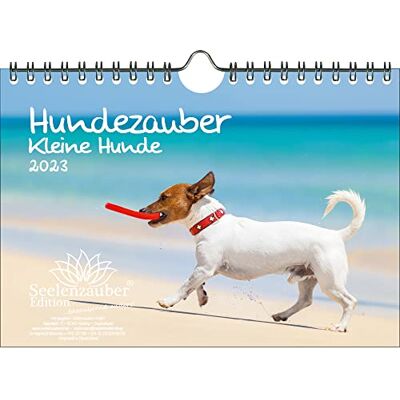 Seelenzauber Hundmagi små hundar DIN A5 väggkalender för 2023 valpar och små hundar – själsmagi Seelenzauber Hundmagi små hundar DIN A5 väggkalender för 2023 valpar och små hundar – själsmagi