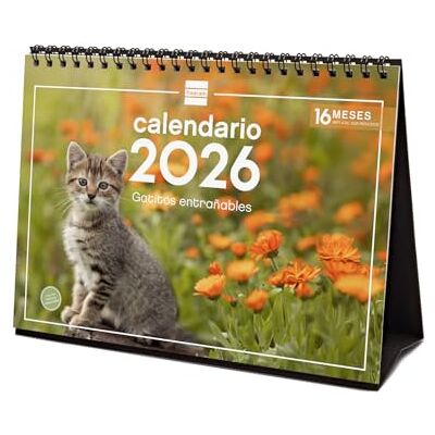 Finocam Skrivbordskalender 2026 månadsvy januari december 2026 + september dec 2025 (4 månader) reducerad Kalender 2026 Kattungar Spanska Finocam Skrivbordskalender 2026 månadsvy januari december 2026 + september dec 2025 (4 månader) reducerad Kalender 2026 Kattungar Spanska