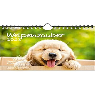Seelenzauber Valpmagi DIN A5 väggkalender för 2023 hundar valpar – själsmagi, flerfärgad, KN2023-5W-0009-D-0 Seelenzauber Valpmagi DIN A5 väggkalender för 2023 hundar valpar – själsmagi, flerfärgad, KN2023-5W-0009-D-0