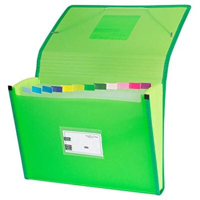 Grafoplás 02963020-carpeta uppdelning med blåsdjur, foolscap, grön Grafoplás 02963020-carpeta uppdelning med blåsdjur, foolscap, grön