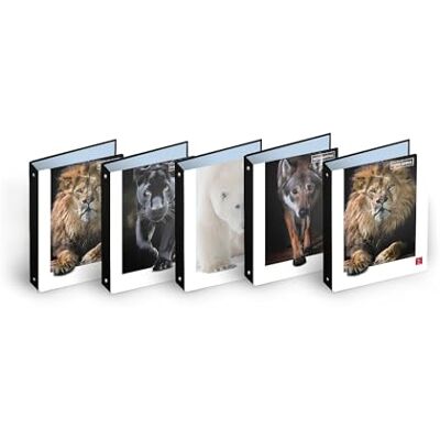 Pigna , Anteckningsbok, ringpärm f.to A4 ANIMAL, anteckningsbok, organisation dokument, 27 x 32 cm, 5-pack Pigna , Anteckningsbok, ringpärm f.to A4 ANIMAL, anteckningsbok, organisation dokument, 27 x 32 cm, 5-pack