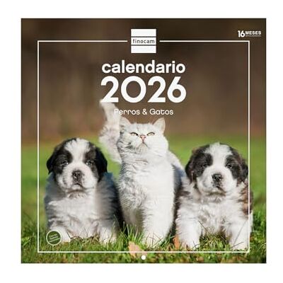 Finocam Väggkalender 2026, 30 x 30 cm, månad Vista januari december 2026 + september dec 2025 (4 månader) minskad Kalender 2026 Bilder Hundar och katter Spanska Finocam Väggkalender 2026, 30 x 30 cm, månad Vista januari december 2026 + september dec 2025 (4 månader) minskad Kalender 2026 Bilder Hundar och katter Spanska