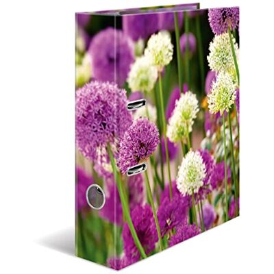 HERMA 19558 mapp A4-blommor lila sensation, set om 10, 7 cm bred, stabil kartong, färgat yttre och inre tryck i högkvalitativ design, ringpärm, mapp, kontorsmapp, motivmapp HERMA 19558 mapp A4-blommor lila sensation, set om 10, 7 cm bred, stabil kartong, färgat yttre och inre tryck i högkvalitativ design, ringpärm, mapp, kontorsmapp, motivmapp