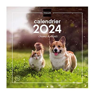 Finocam kalender väggbilder 30 x 30 för anteckning 2024 januari 2024 december 2024 (12 månader) franska hundar och katter Finocam kalender väggbilder 30 x 30 för anteckning 2024 januari 2024 december 2024 (12 månader) franska hundar och katter