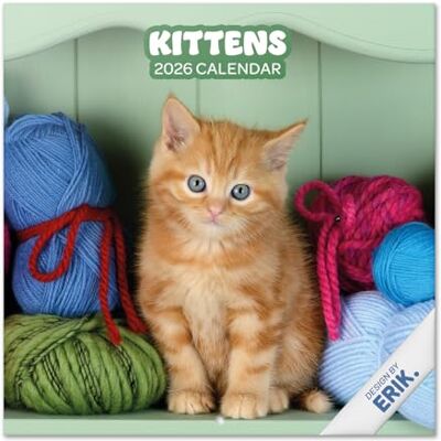 Grupo Erik Wall Calendar 2026 Simons Cat Calendar 2026 Square 30 x 30 cm 12 x 12 inches Wall Planner, Family Planner Month To View Gifts For Cat Lovers, Gifts For Friends Grupo Erik Wall Calendar 2026 Simons Cat Calendar 2026 Square 30 x 30 cm 12 x 12 inches Wall Planner, Family Planner Month To View Gifts For Cat Lovers, Gifts For Friends