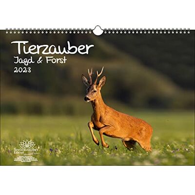Seelenzauber Djurmagi jakt och skog DIN A3-kalender för 2023 – sjömagi Seelenzauber Djurmagi jakt och skog DIN A3-kalender för 2023 – sjömagi